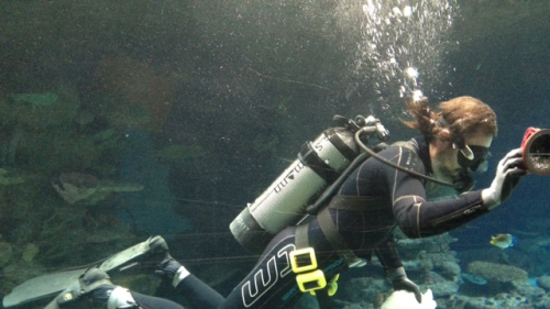 thumbnail of category Sport