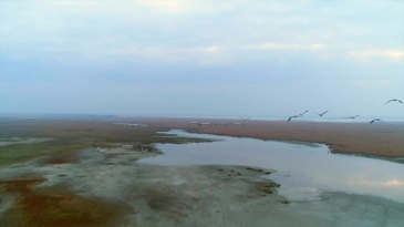 thumbnail of medium Naturerlebnis Neusiedler See im Herbst