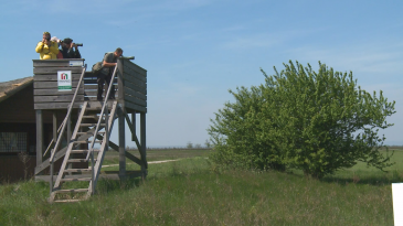 thumbnail of medium Safari im Burgenland - Bergauf Bericht