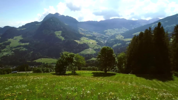 thumbnail of medium Almrosenfest im Alpbachtal - Bergauf Bericht