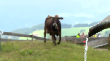 thumbnail of medium Söll Hexwasser und Quellenweg